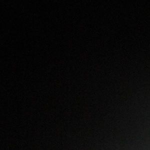 Meet your Posher, Rocky